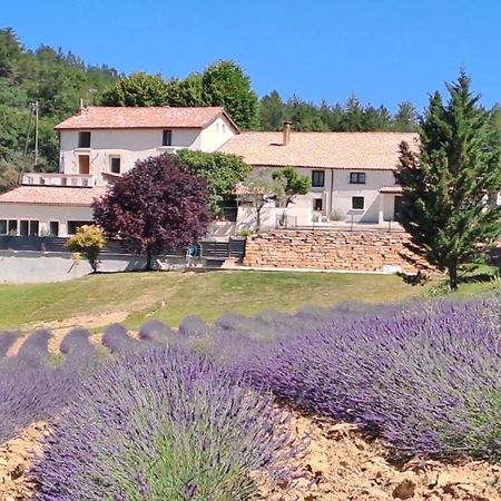 Bed and Breakfast Domaine De Prefaissal Mezel  Exterior foto